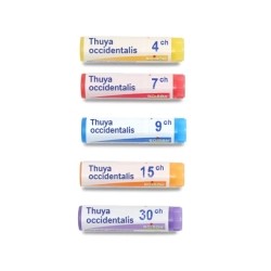 Boiron Thuya occidentalis dose