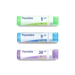 Boiron Thyroidea granules