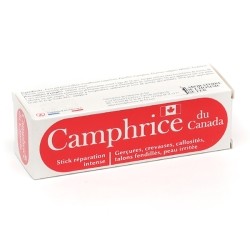 Camphrice du Canada stick