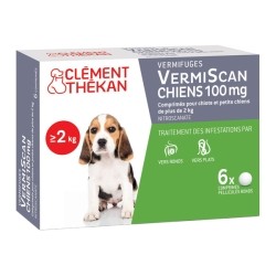 VermiScan Chien Petit Chien et Chiot comprimé