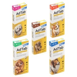 AdTab Chien comprimé anti puces