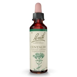 Fleurs de Bach Centaury n°4