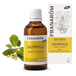 Pranarom huile de Calophylle Bio douleurs musculaires
