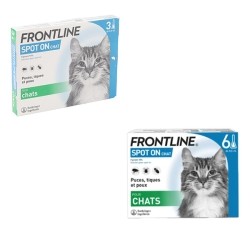 Frontline chat pipette anti puce