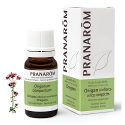 Origan Pranarom huile essentielle antiinfectieuse
