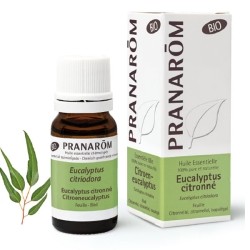 Pranarom Bio huile essentielle d'Eucalyptus citronné