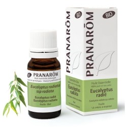 Pranarom huile essentielle Eucalyptus radié Bio