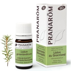 Lédon du groenland Bio Pranarom huile essentielle