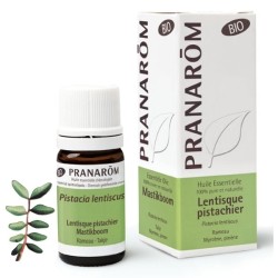 Huile essentielle Pranarom de Lentisque pistachier bio