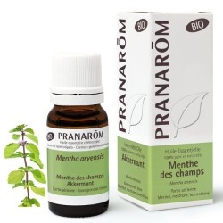 Pranarom Menthe des champs Bio huile essentielle  stimulante