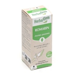 Romarin Macérat de bourgeons bio