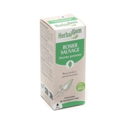 HerbalGem Rosier sauvage Concentré de bourgeons bio