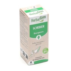 HerbalGem Sorbier concentré de bourgeons bio