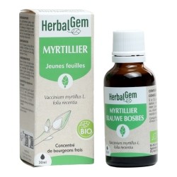 Myrtillier Extrait de bourgeons bio