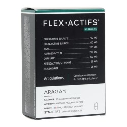Aragan Flex Actifs gélules