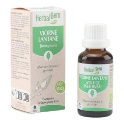 HerbalGem Viorne Lantane bourgeons Bio