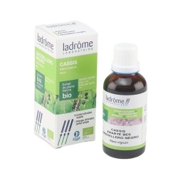 Ladrôme extrait de plante fraîche Bio Cassis