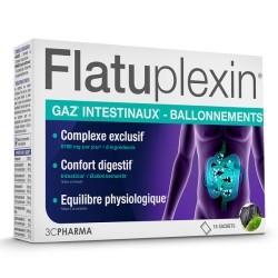 Les 3 Chênes Flatuplexin sachets