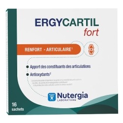 Nutergia Ergycartil Fort sachets