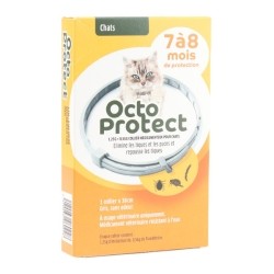 OctoProtect collier anti puce chat