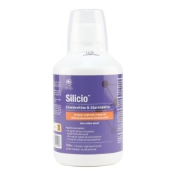 Silicio Chondroïtine & Glucosamine