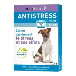 Vetoform collier anti stress chien