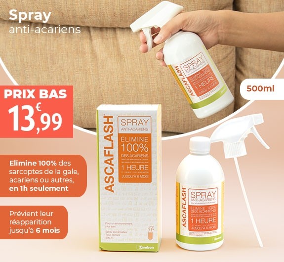 Prix bas Ascaflash spray contre la gale