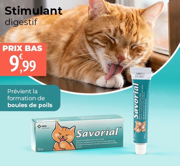 Prix bas Savorial pâte orale chat