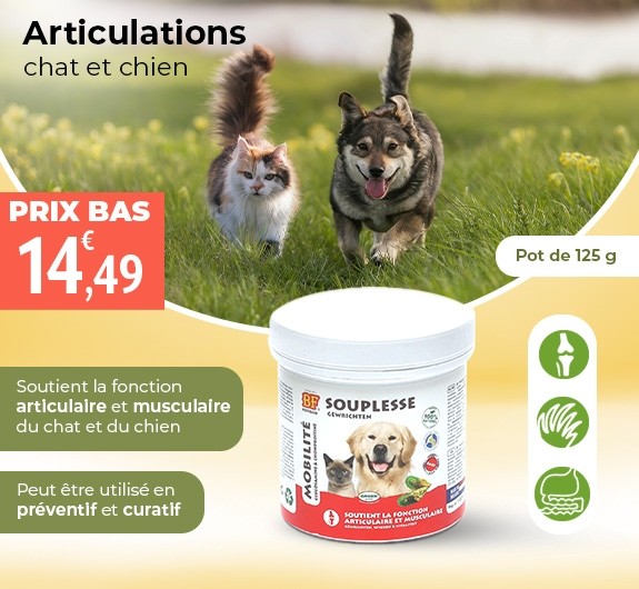 Prix bas BF Petfood Souplesse poudre Chien et Chat