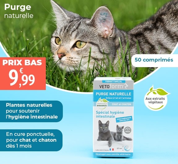 Prix bas Vetoform Purge naturelle chat et chaton comprimés