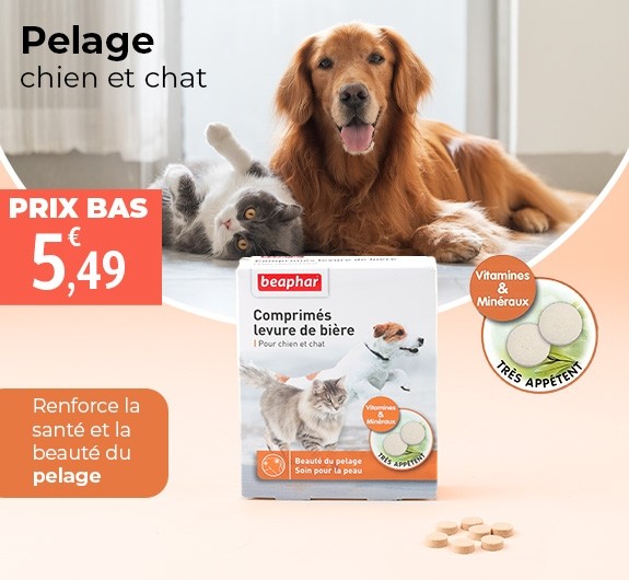 Prix bas Beaphar Levure de bière comprimés