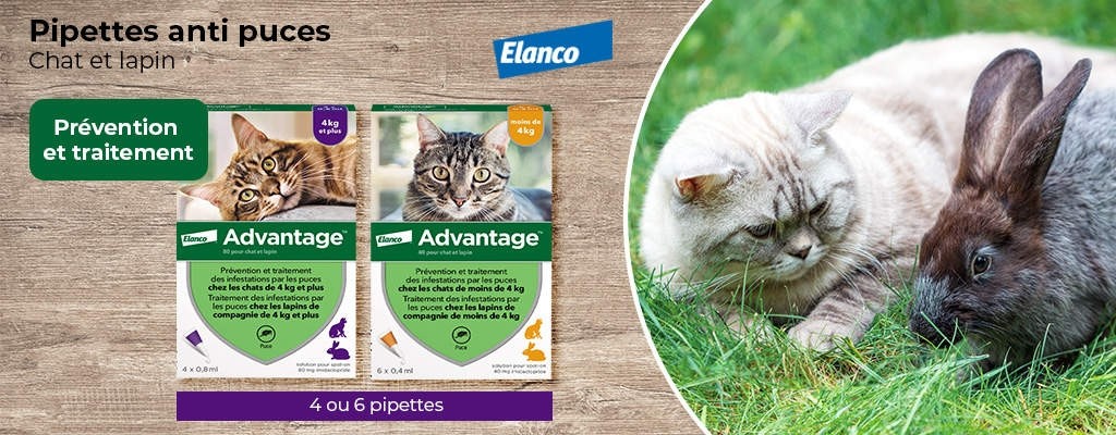 Mea Advantage pipettes