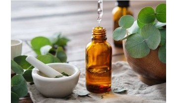 Huile essentielle d’Eucalyptus radié