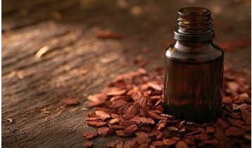 Huile essentielle de Cèdre de Virginie