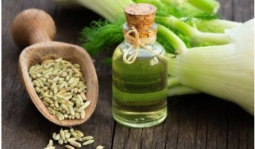 Huile essentielle de Fenouil