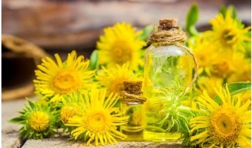 Huile essentielle d'Inule odorante