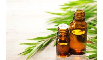 Huile essentielle Tea Tree