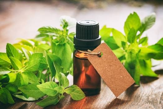 Huile essentielle de Basilic tropical