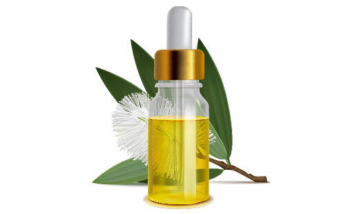 Huile essentielle Cajeput