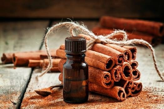 Huile essentielle de Cannelle