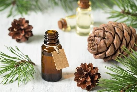 Huile essentielle de Cèdre de l'Atlas