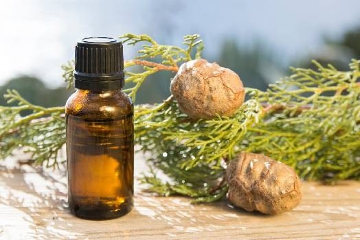 Huile essentielle de Cyprès
