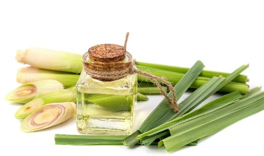 Huile essentielle de Citronnelle