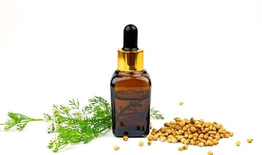 Huile essentielle Coriandre