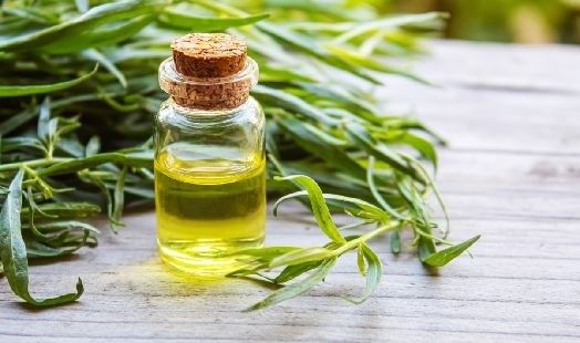 Huile essentielle Estragon