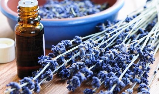 Huile essentielle de Lavandin