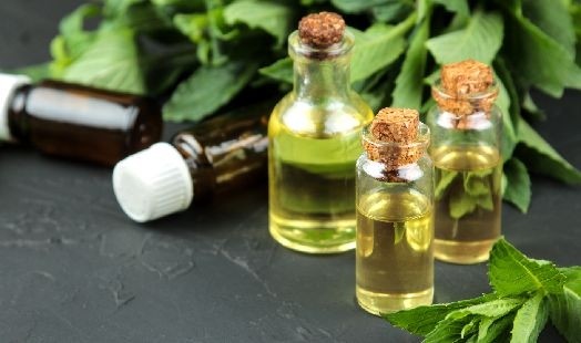 Huile essentielle de Menthe des champs