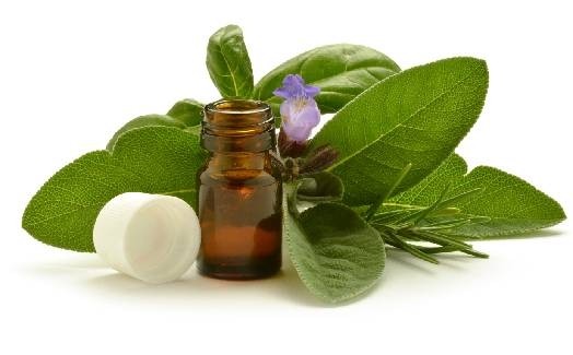 Huile essentielle de Sauge sclarée