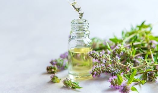 Huile essentielle de Thym à feuille de sarriette