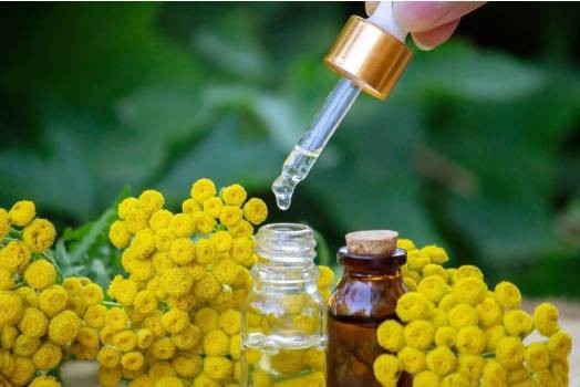 Huile essentielle d’Helichryse ou Immortelle